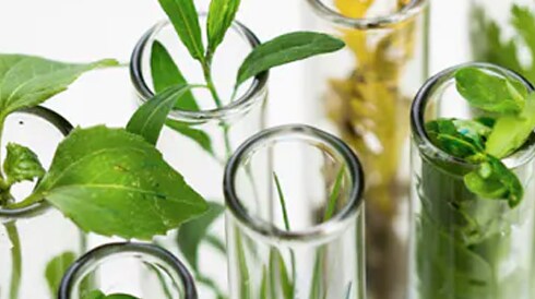 A Partnership for the Planet - My Green Lab and Thermo Fisher Scientific