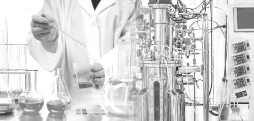 25528_Category_P3_Image