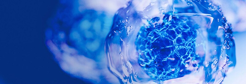 Cell Analysis Methods