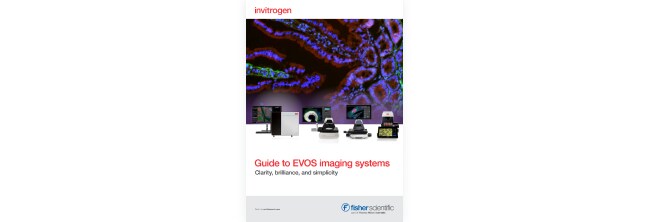 PDF Image