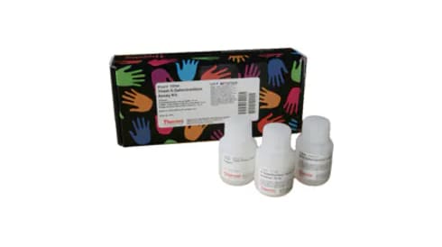 General Cell-Based Assays