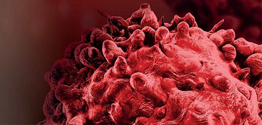 Cancer Research Guidebook