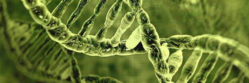 Fisher Science Education Nucleic Acid and PCR Flier