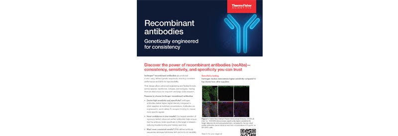 Recombinant Antibody Flyer