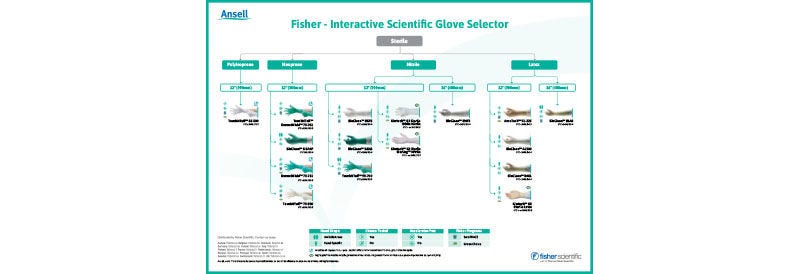 Interactive Gloves Selector