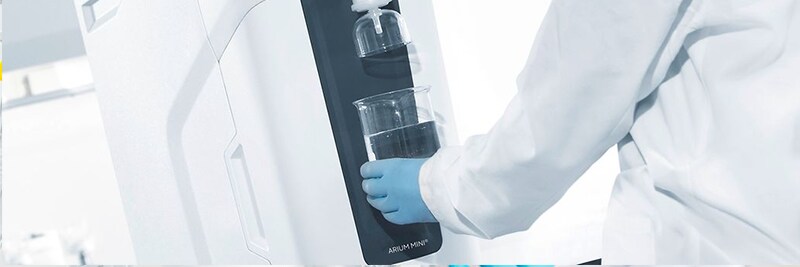 Water Quality and Purification