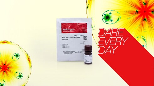 Get 19% off Invitrogen ProLong Gold Antifade Mountant for fluorescent dye optimization. Save now
