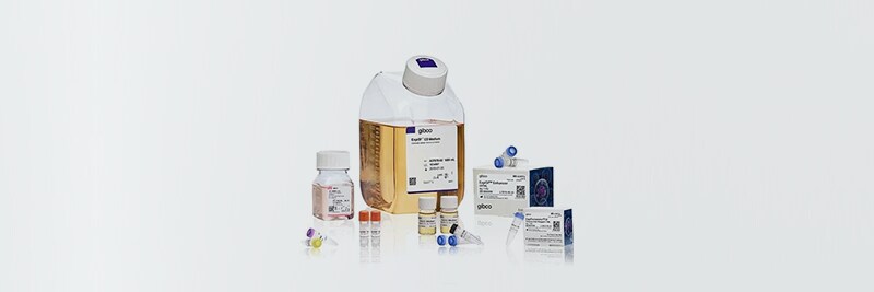 Shop protein expression