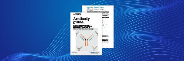 Antibody Basics Guide