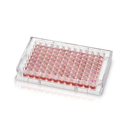 Thermo Scientific™ Nunc™ Microwell 96-Well Microplate with Nunclon™ Supra Surface