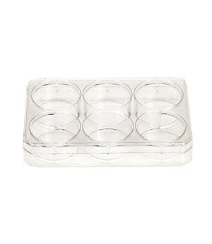 Thermo Scientific™ Nunc™ Cell-Culture Treated Multidishes