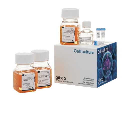 25356 Merch P2 Product 1