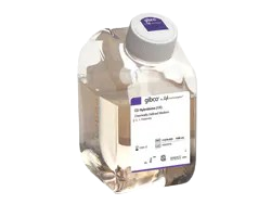 Acrylamide Electrophoresis Gels