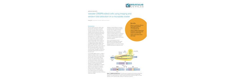 Validate CRISPR-Edited Cells using Imaging and Western Blot Detection on a Microplate Reader