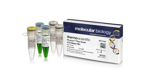 Enzymes and Inhibitors