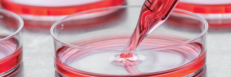 Fisher Science Education Cell Culture Flier