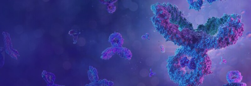 Protein Biology Methods