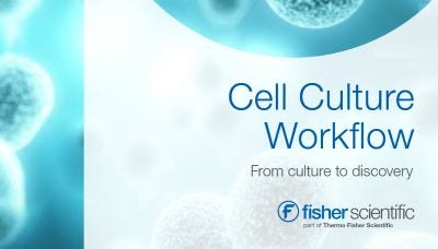 24981 Merch P8 Doc 1