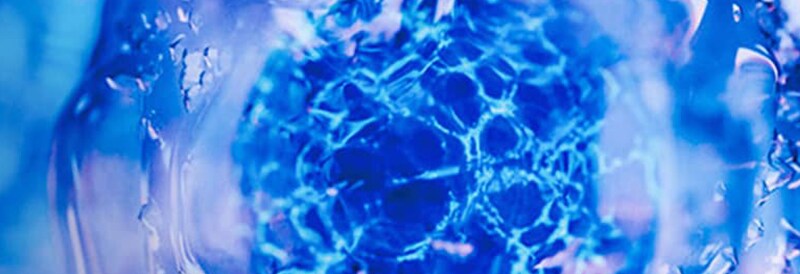 Cell Analysis Methods