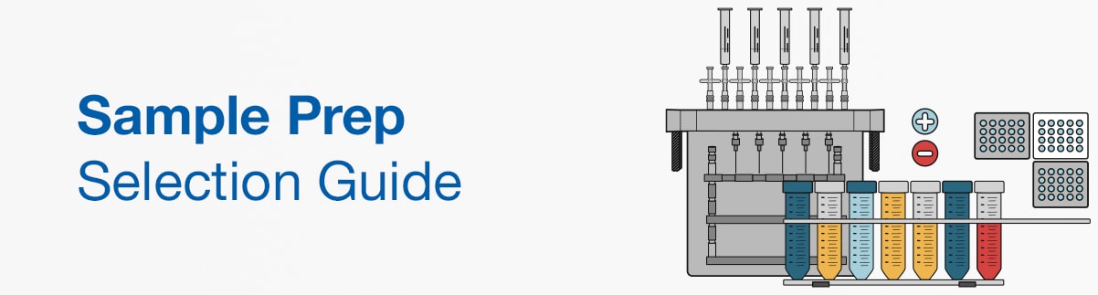 19713_sg_banner_EN 19713_sg_banner_EN