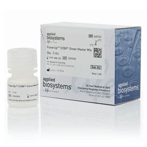 Molecular_Biology_PCR_qPCR