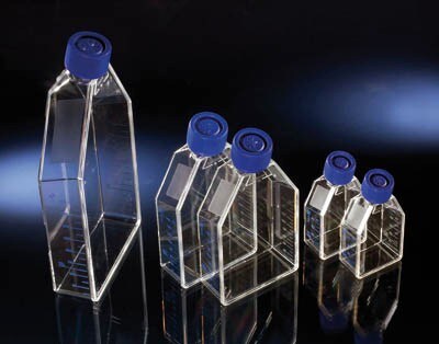 Thermo Scientific Nunc™ Cell Culture Treated EasYFlasks