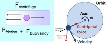 the_centrifuge_forces Two forces counteract the centrifugal force acting on the suspended particles