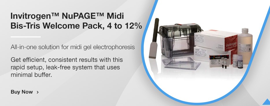Invitrogen™ NuPAGE™ Midi Bis-Tris Welcome Pack, 4 to 12%