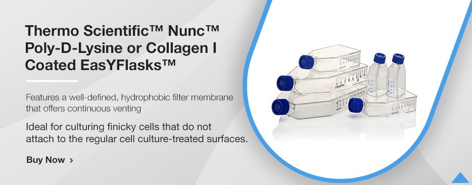 Thermo Scientific™ Nunc™ Poly-D-Lysine or Collagen I Coated EasYFlasks™ Thermo Scientific™ Nunc™ Poly-D-Lysine or Collagen I Coated EasYFlasks™