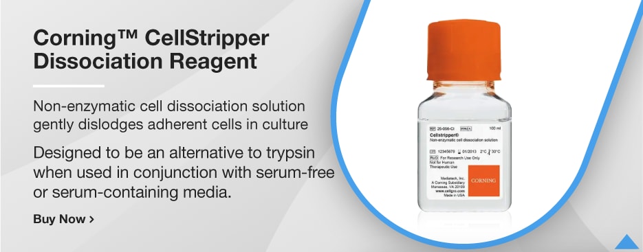 Corning™ CellStripper Dissociation Reagent