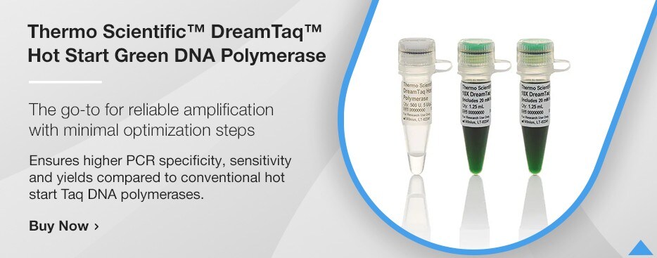 Thermo Scientific™ DreamTaq™ Hot Start Green DNA Polymerase