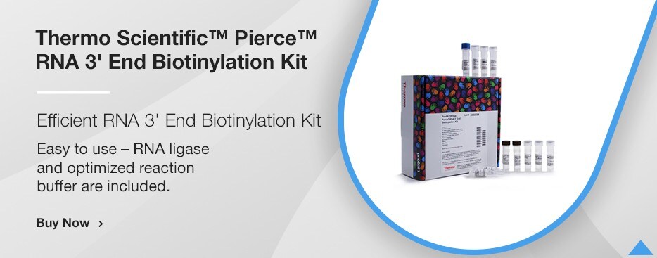 Thermo Scientific™ Pierce™ RNA 3' End Biotinylation Kit