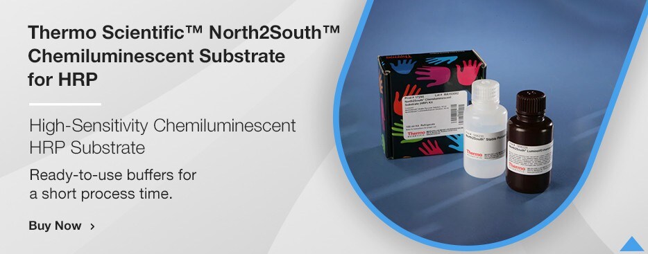 Thermo Scientific™ North2South™ Chemiluminescent Substrate for HRP