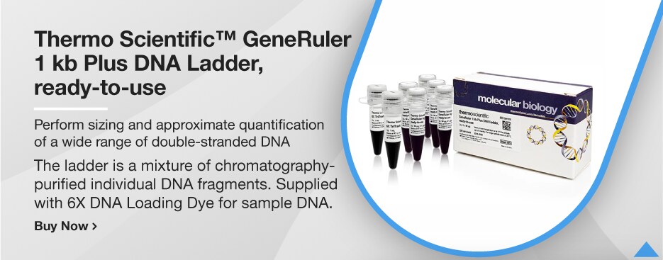 Thermo Scientific™ GeneRuler 1 kb Plus DNA Ladder, ready-to-use