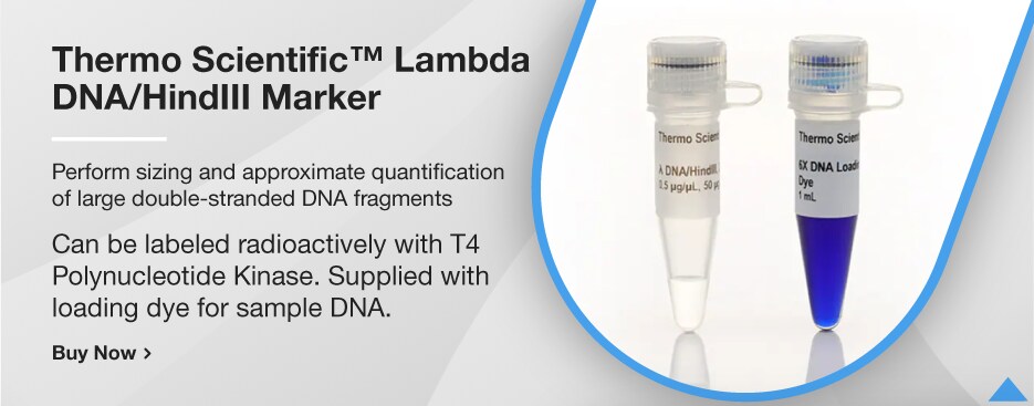 Thermo Scientific™ Lambda DNA/HindIII Marker
