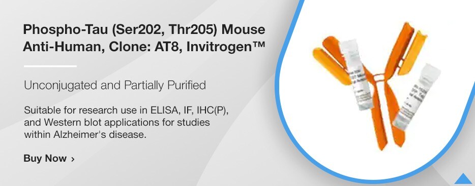 Phospho-Tau (Ser202, Thr205) Mouse Anti-Human, Clone: AT8, Invitrogen™