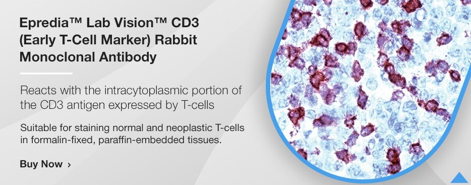 Epredia™ Lab Vision™ CD3 (Early T-Cell Marker) Rabbit Monoclonal Antibody