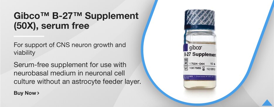 Gibco™ B-27™ Supplement (50X), serum free