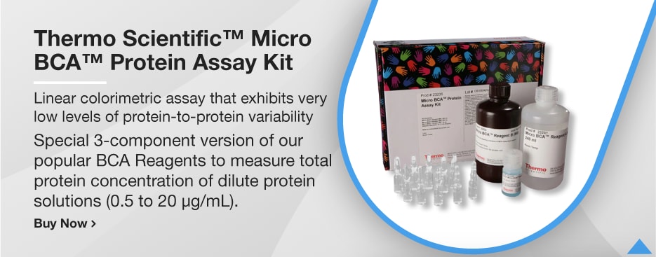 Thermo Scientific™ Micro BCA™ Protein Assay Kit