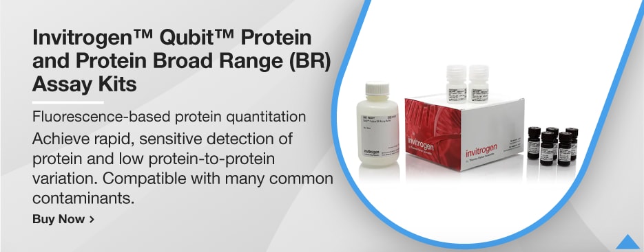 Invitrogen™ Qubit™ Protein and Protein Broad Range (BR) Assay Kits