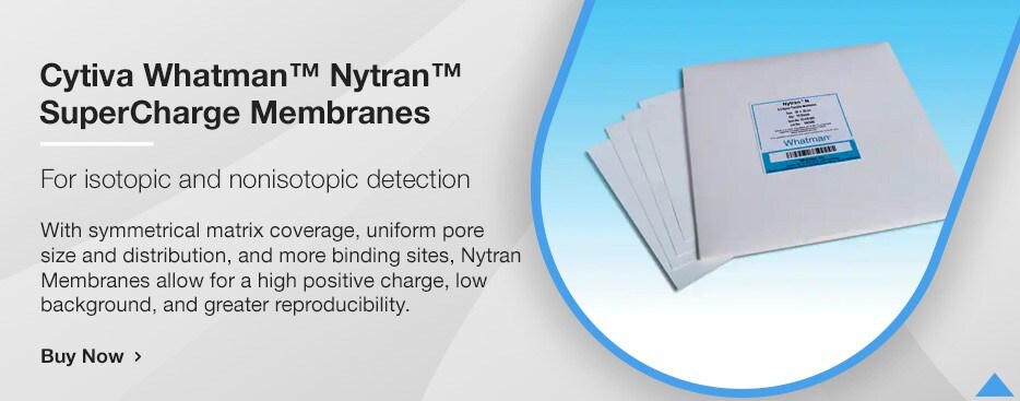 Cytiva Whatman™ Nytran™ SuperCharge Membranes