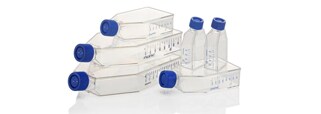 Cell Culture Dishes, Plates & Flasks