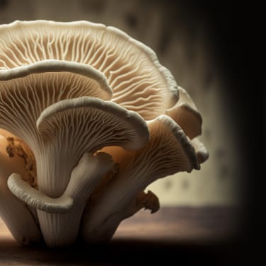 Fungal Future: Exploring the Potential of Mushroom Computing