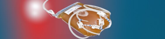 Anreicherungsbouillon 