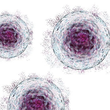 Scaling Up Zelltherapie