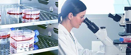 Die vielen Anwendungsbereiche, in denen CO2-Inkubatoren ihre St&auml;rken zeigen