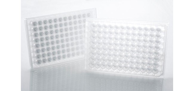 15308_image_tab_protein__new 15308_image_tab_protein__new