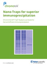 Nano-Traps for Superior Immunoprecipitation