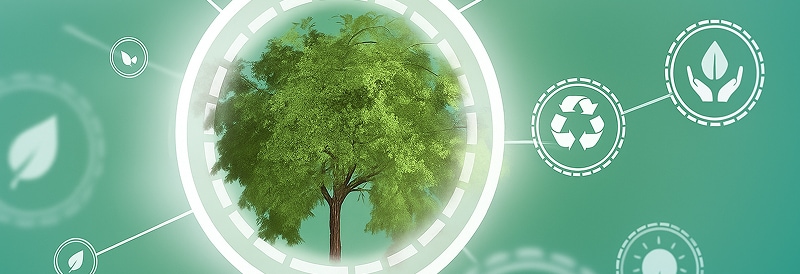 What You Need to Know About Recyclability