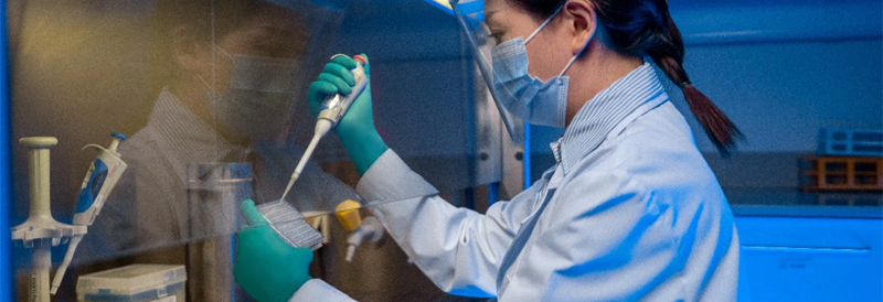 What is the Effect on Gloves When Disinfected Using Alcohols? 